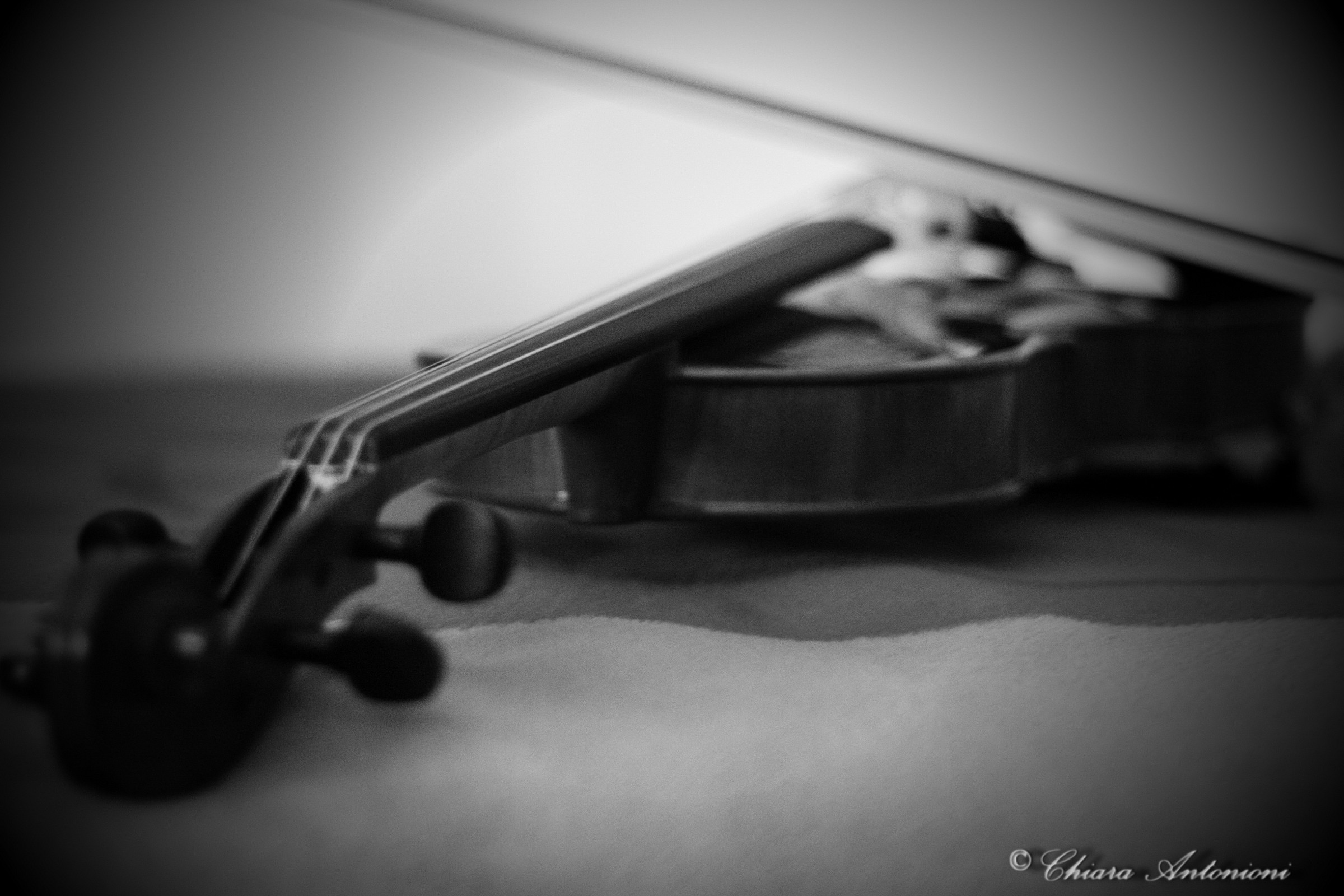violino