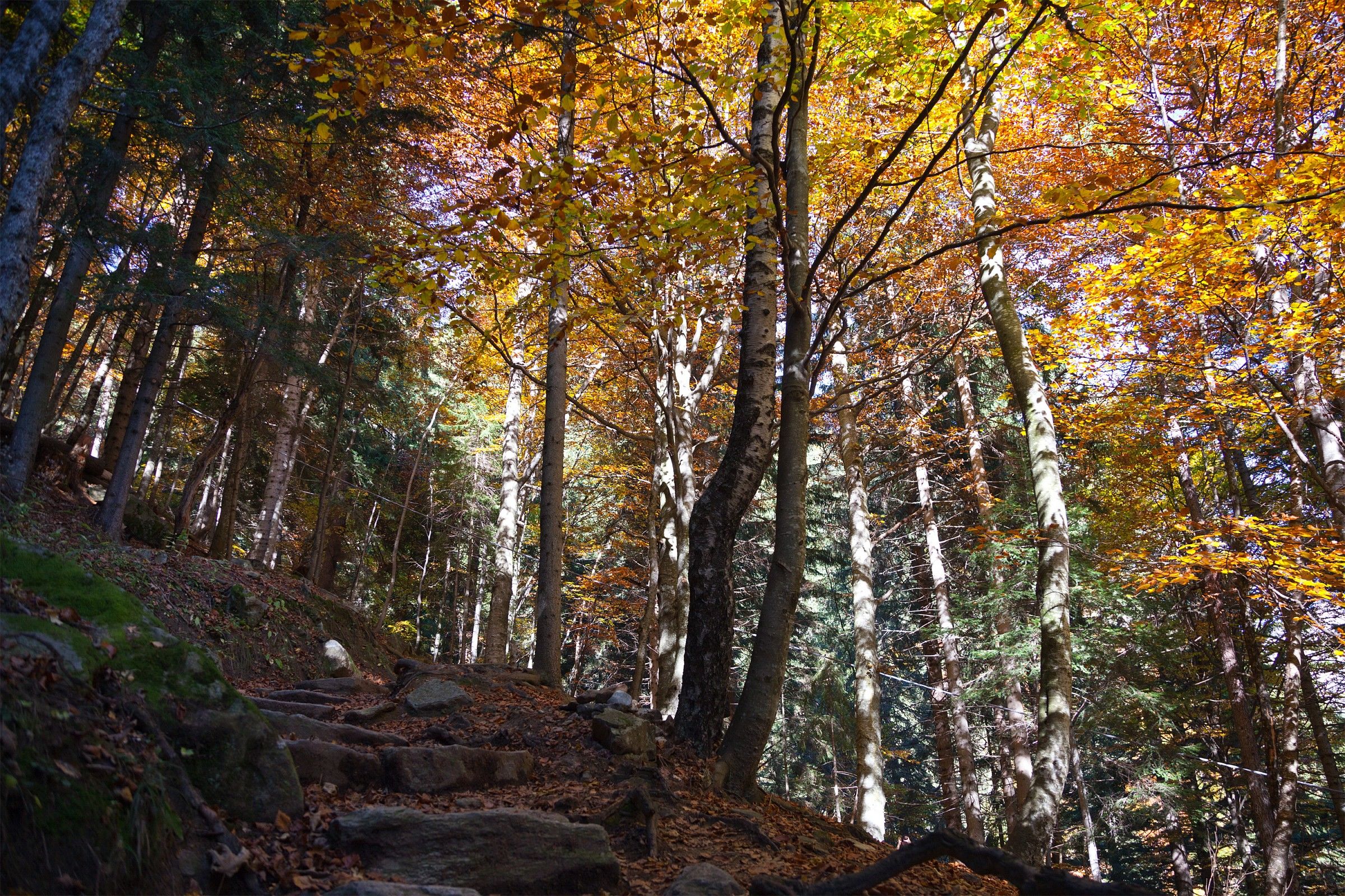 Autumn in the Valley Otro