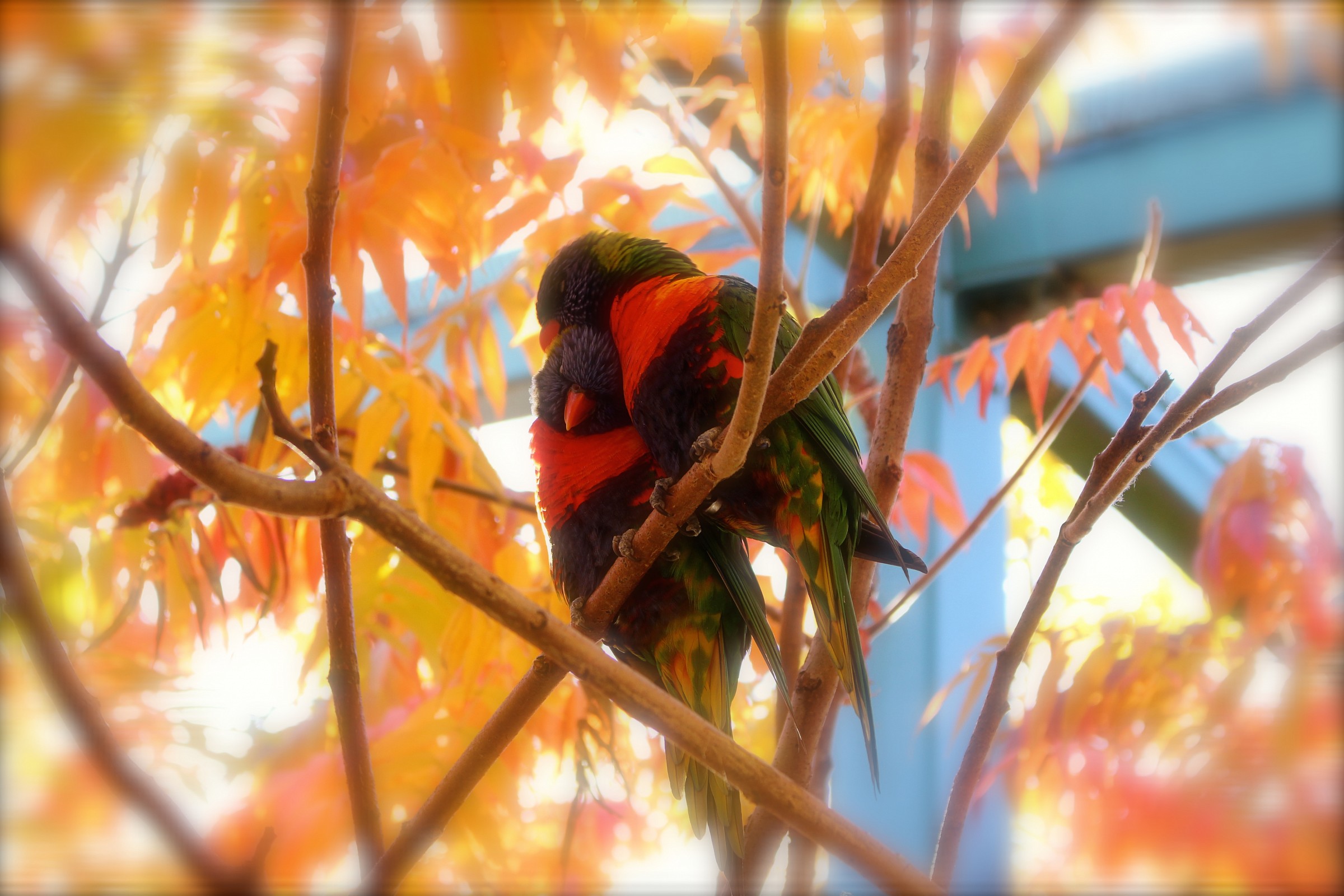 L'amore ha solo bisogno di una spalla su cui appoggiarsi...