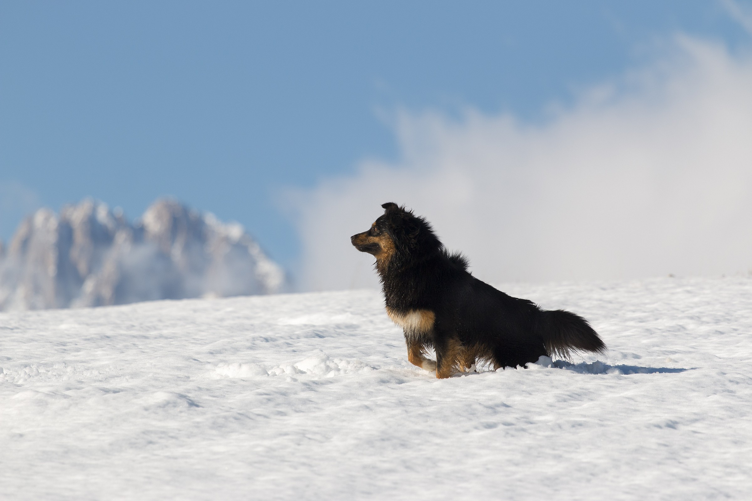 On the roof of Abruzzo