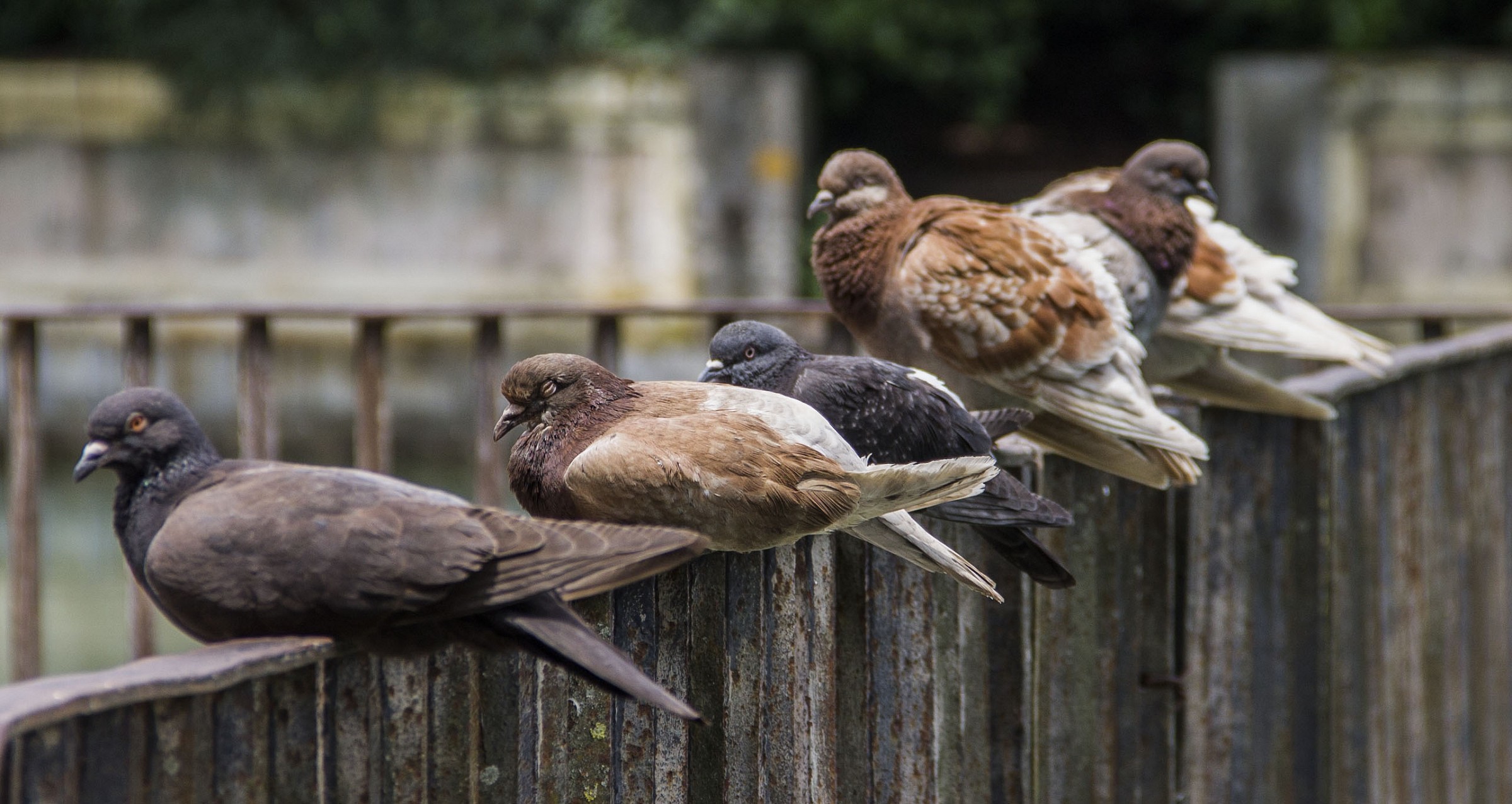 Riposarsi in compagnia..