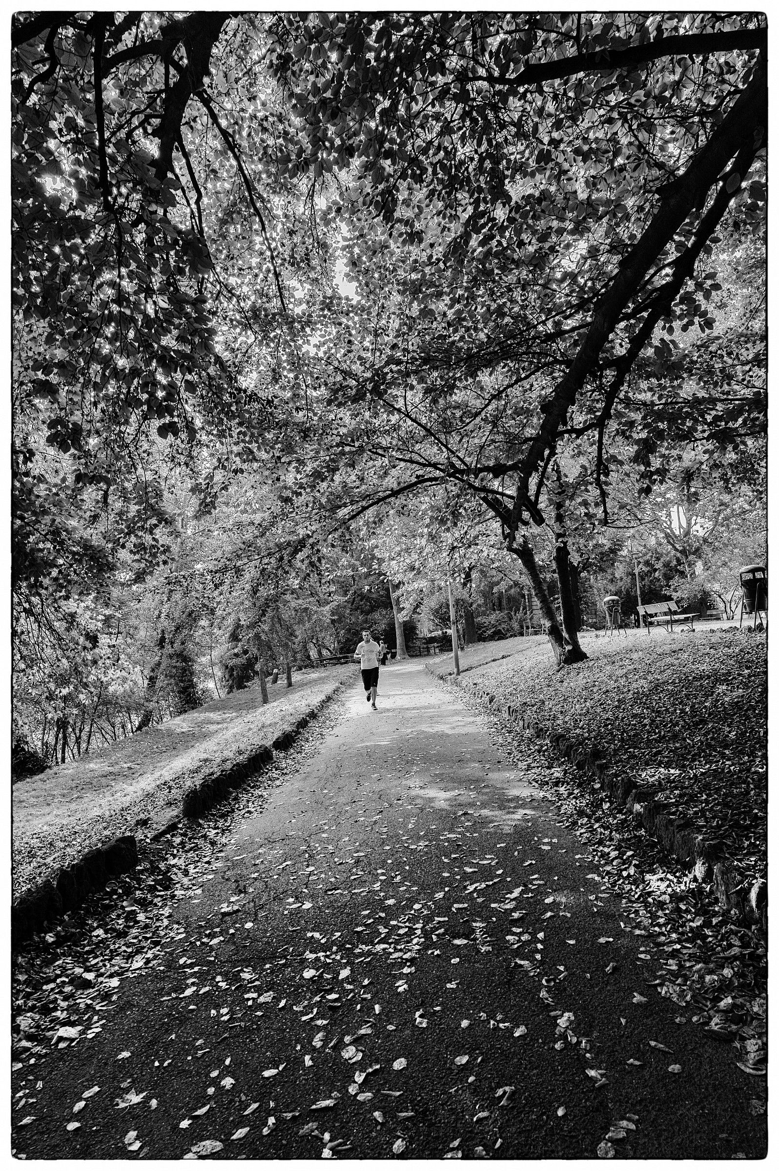 Parco Valentino_running