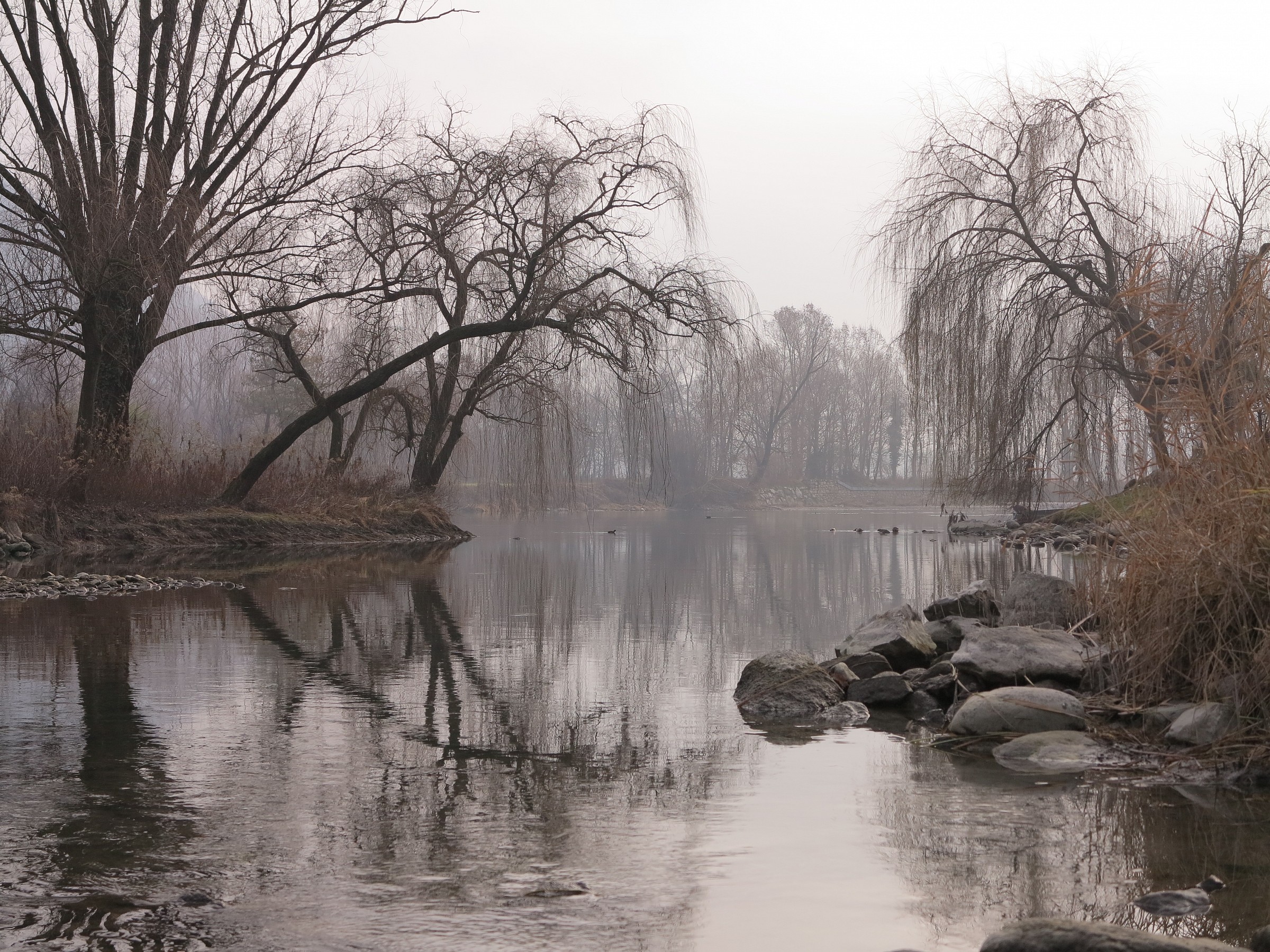 Adda, inverno presso Brivio