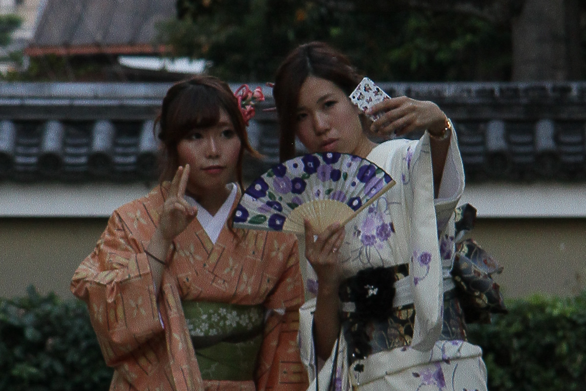 Geishas in Kyoto (3)
