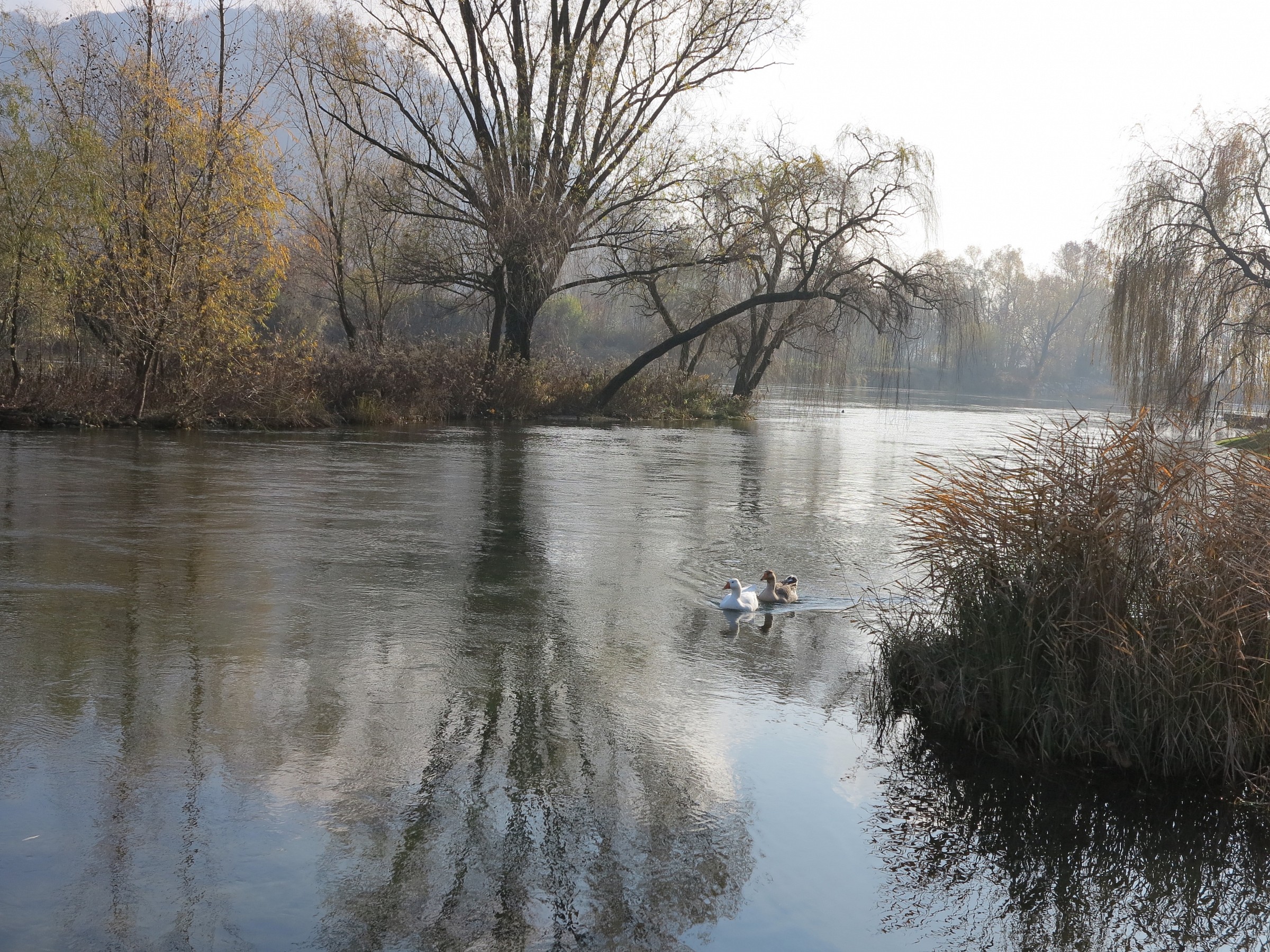 Adda, fall at the islet of Brivio