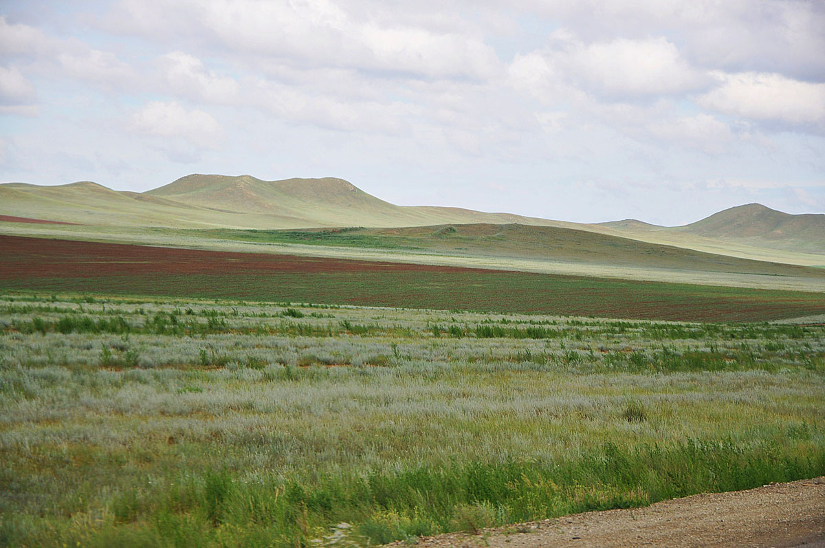I colori della steppa