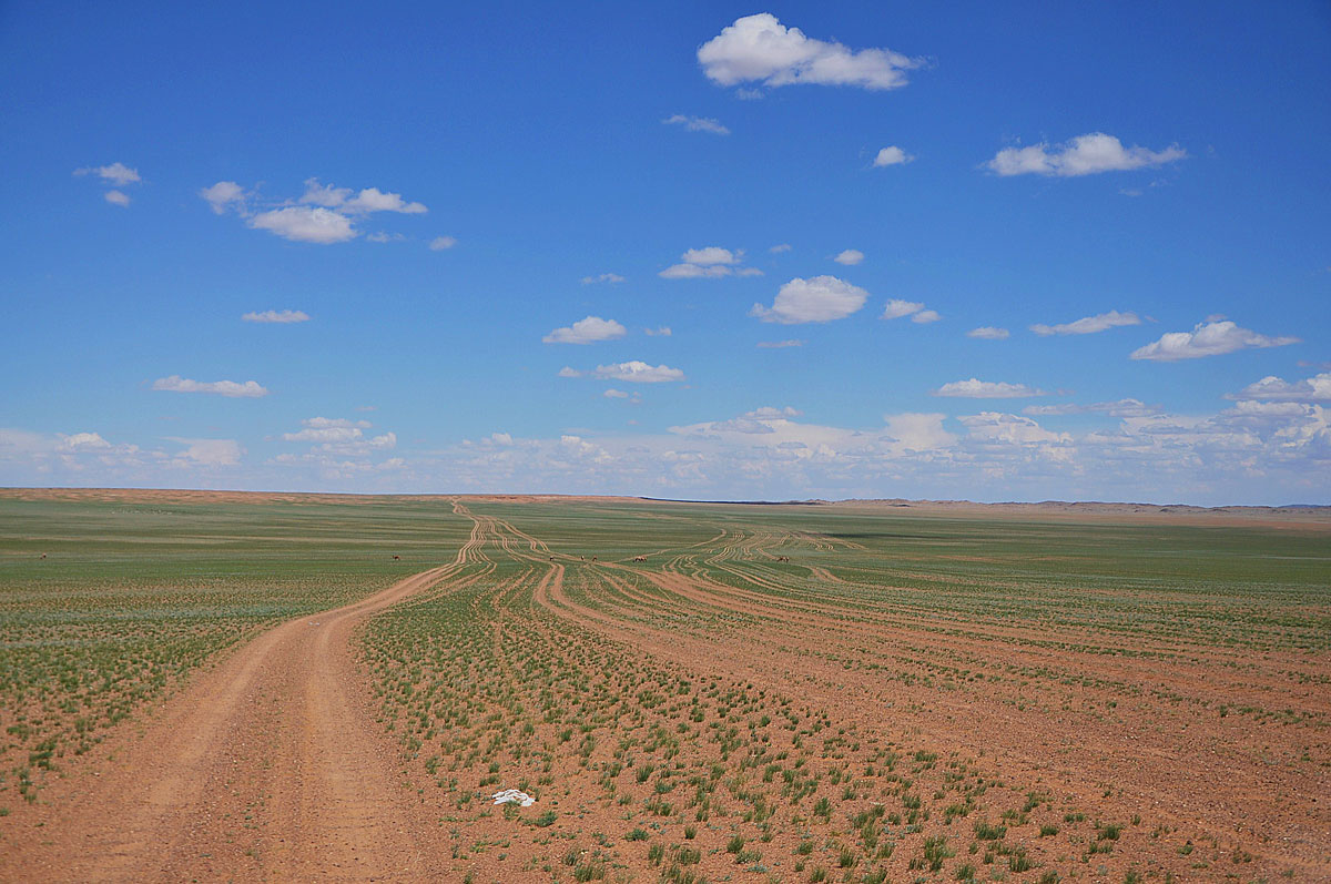 Autostrade nella steppa