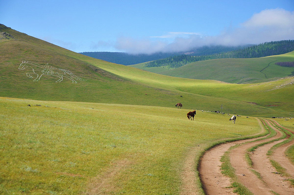 Nel regno dei cavalli...