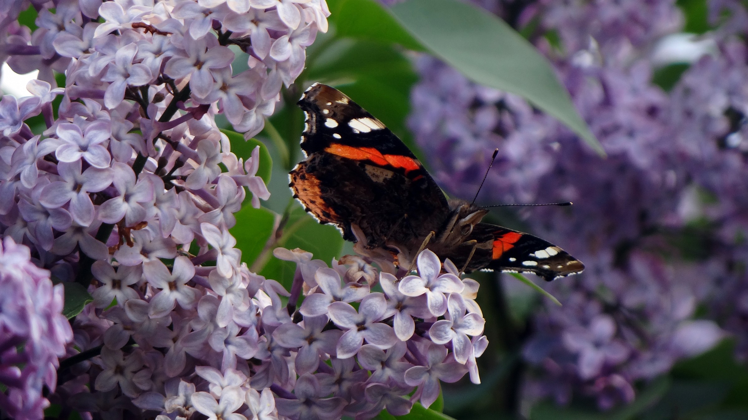 Pronta a spiccare il volo