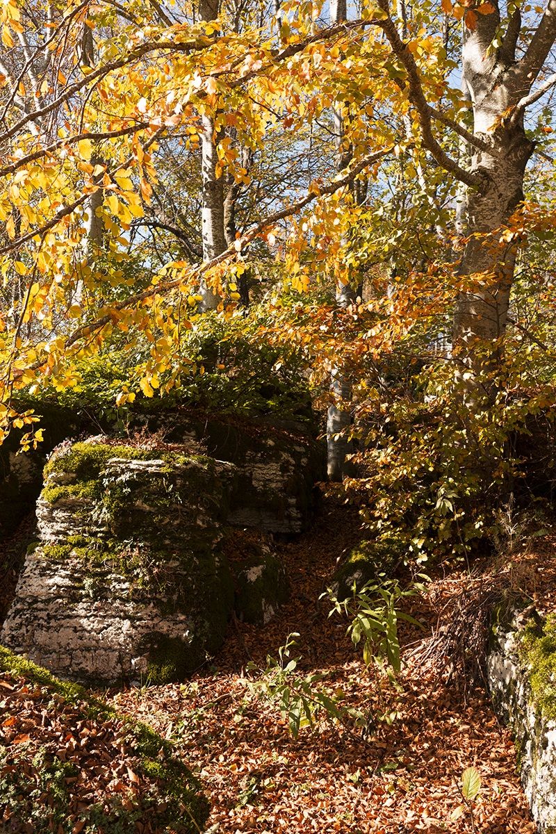 Valley of the Sphinxes - Camposilvano - 2014