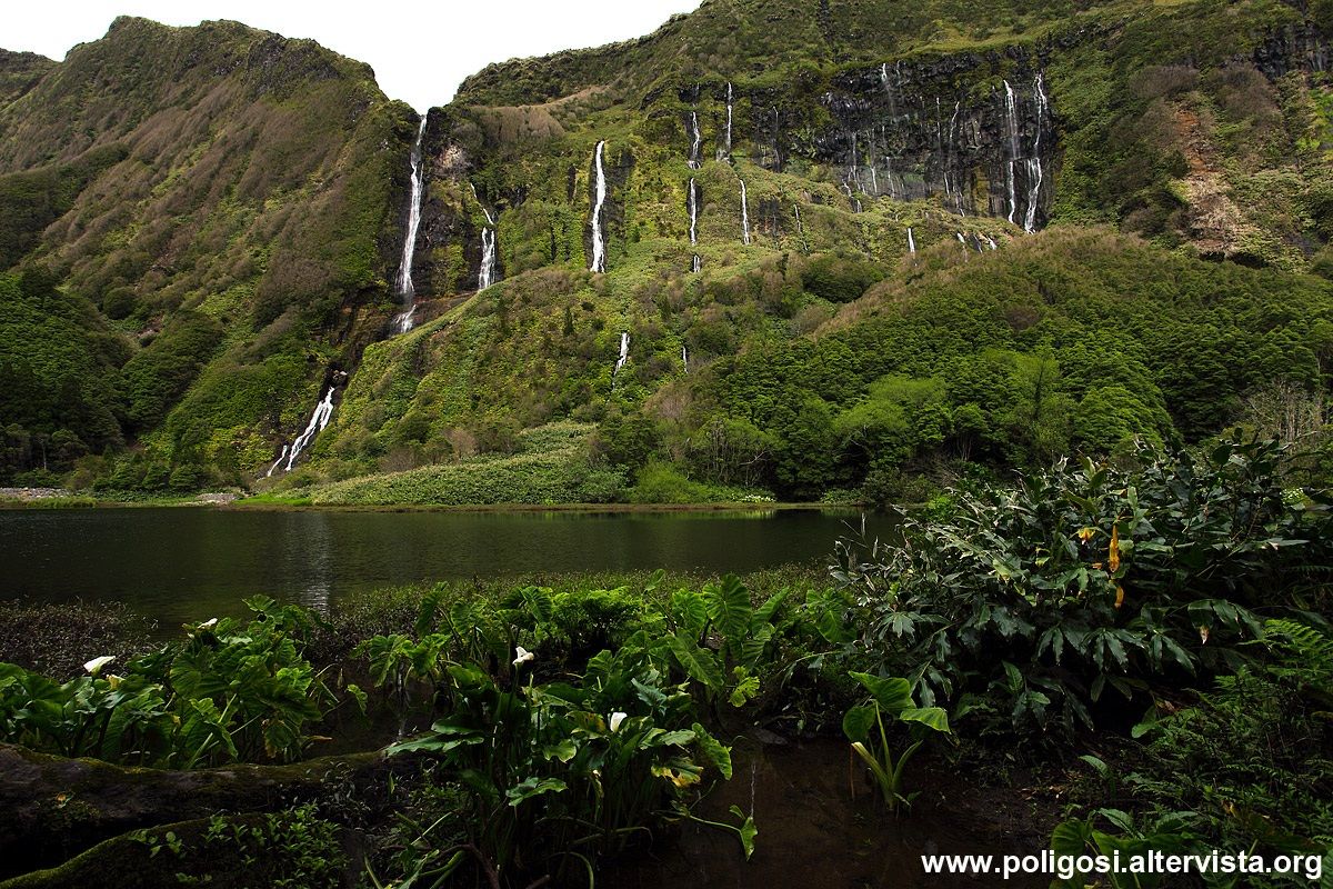 Temple of Silence (Little to Lagoinha- ??Flores)