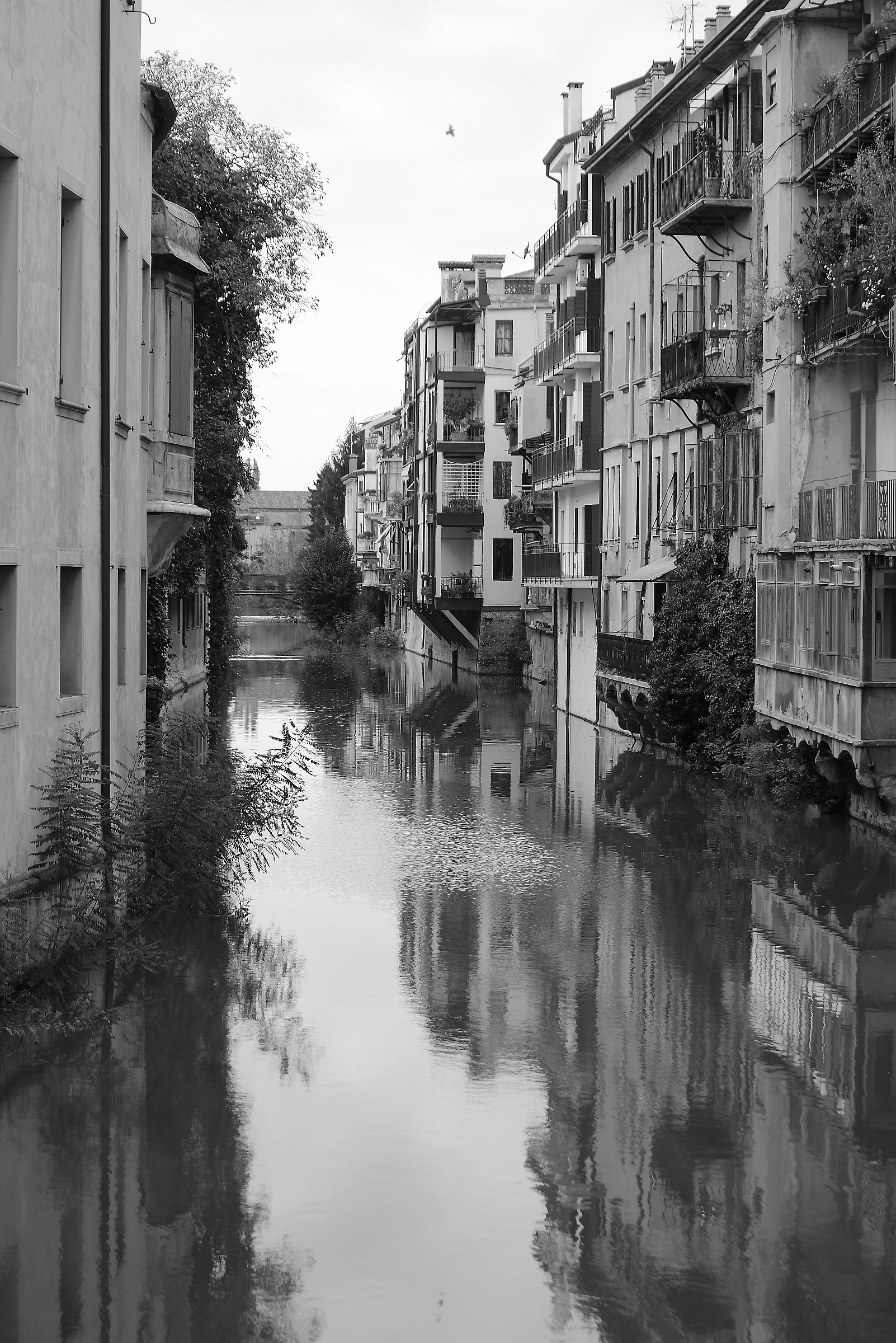 Canale naviglio dal ponte delle Torricelle. Padova