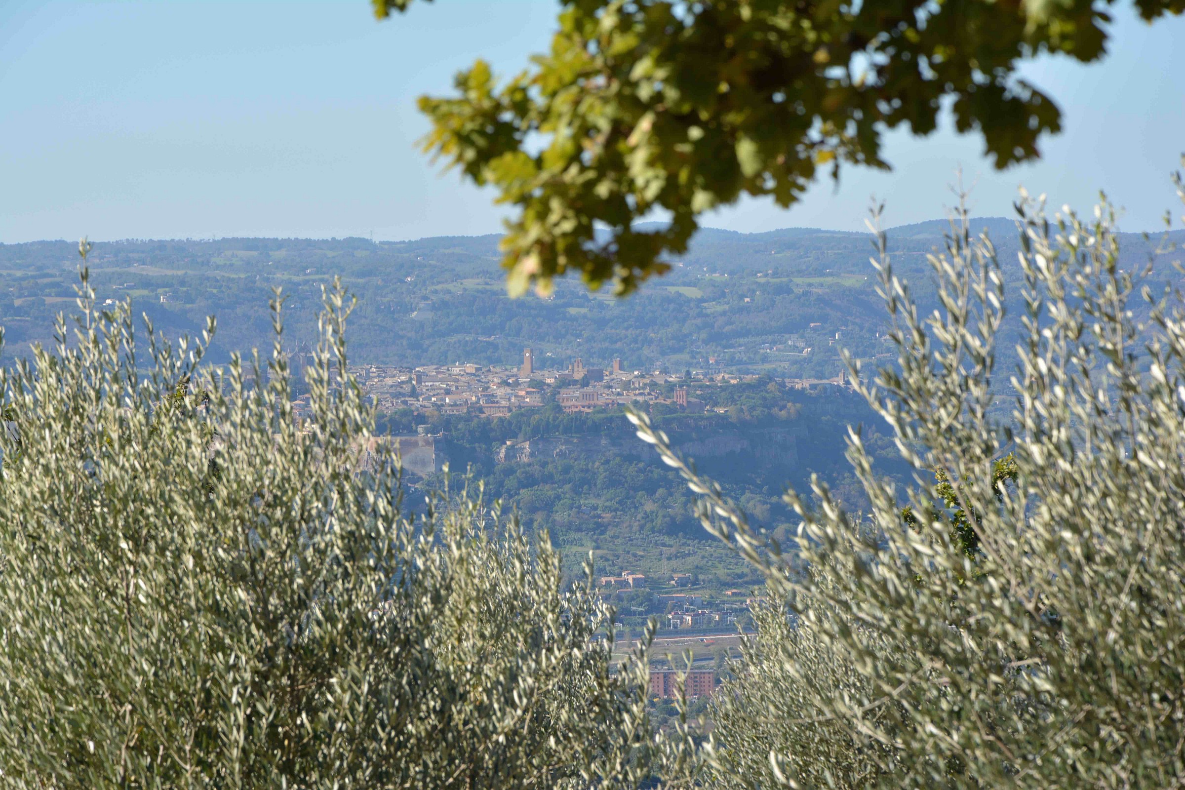 Orvieto