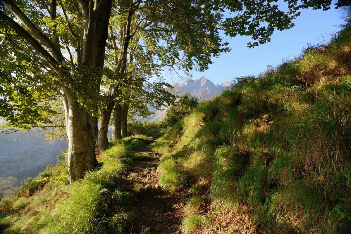 Il SAgro visto dal Vergheto