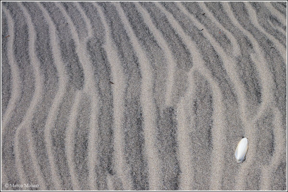 Riserva Naturale Statale Le Cesine