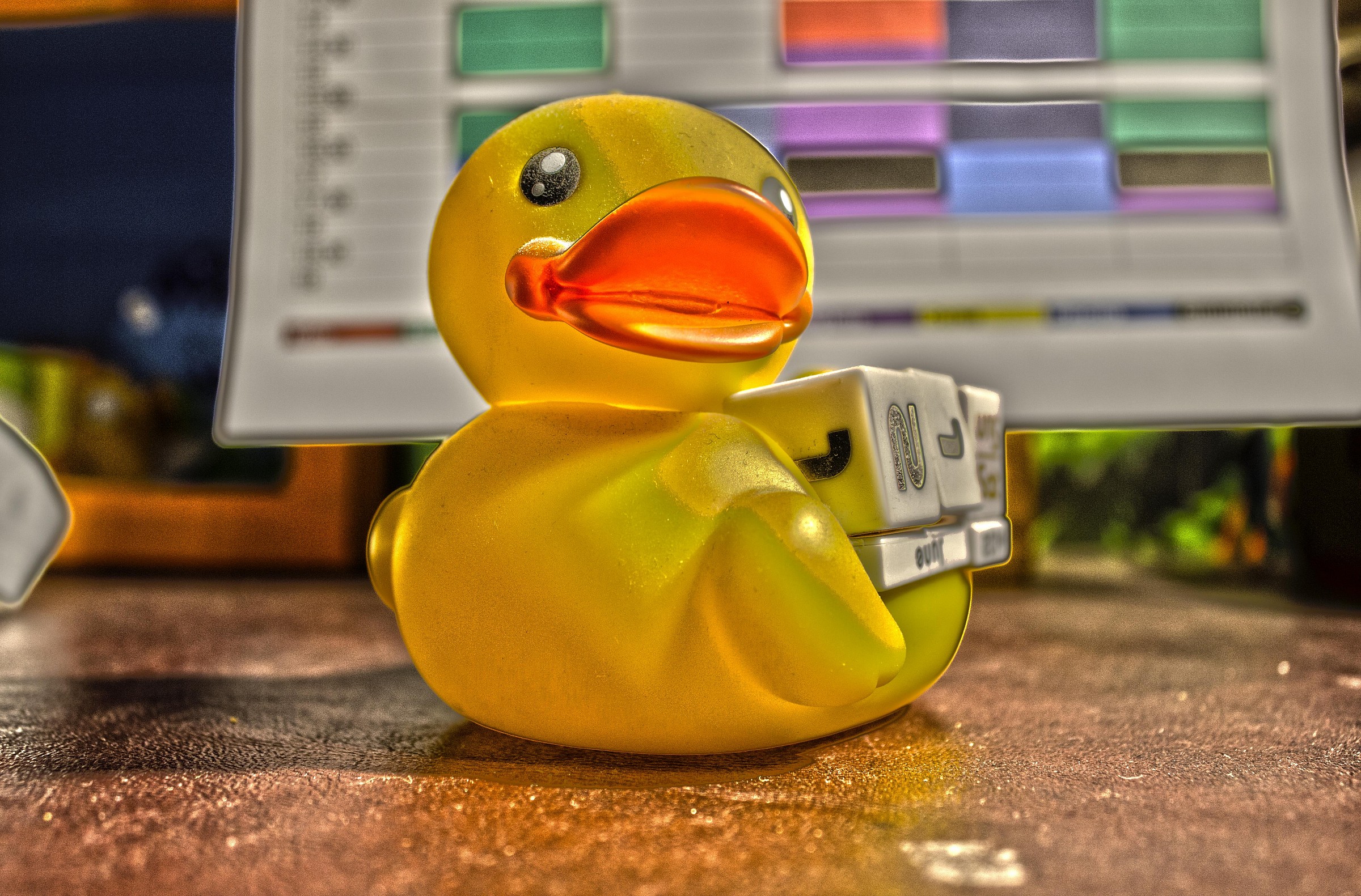 HDR on rubber duck