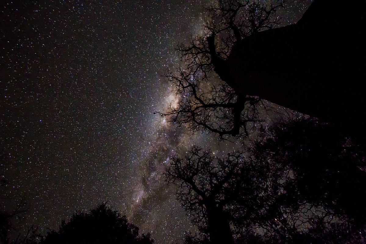 Via lattea con baobab
