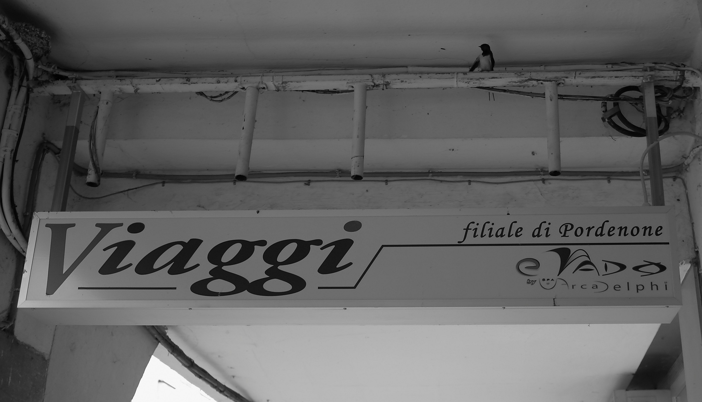 Travel Agency La Rondine: Last Flight Out In