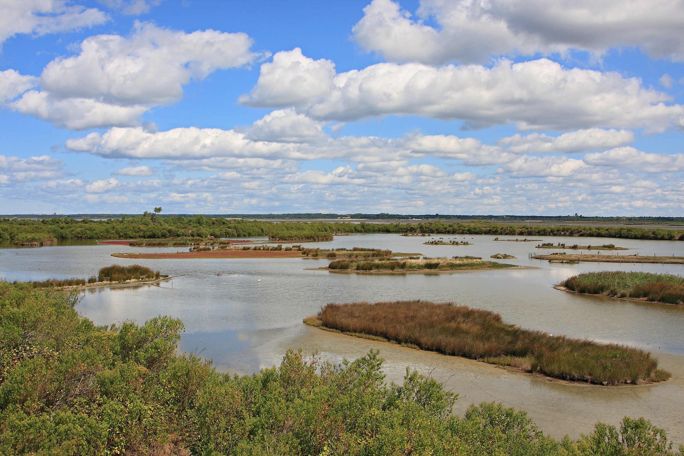 Ornithological Park of the Tech - Pilat - France