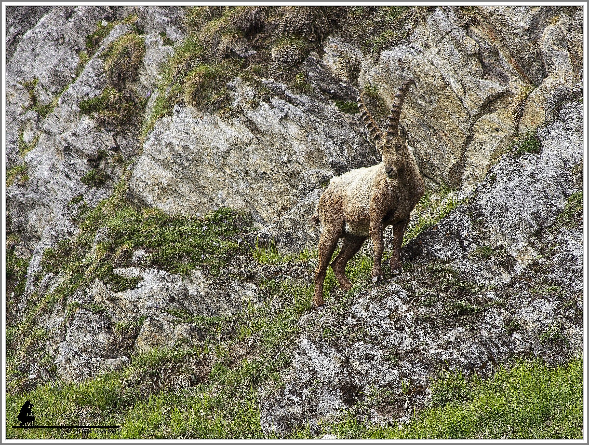 Majestic mountain peaks.