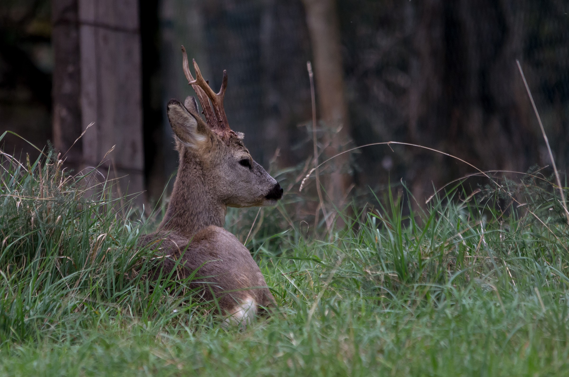 un attimo di relax...