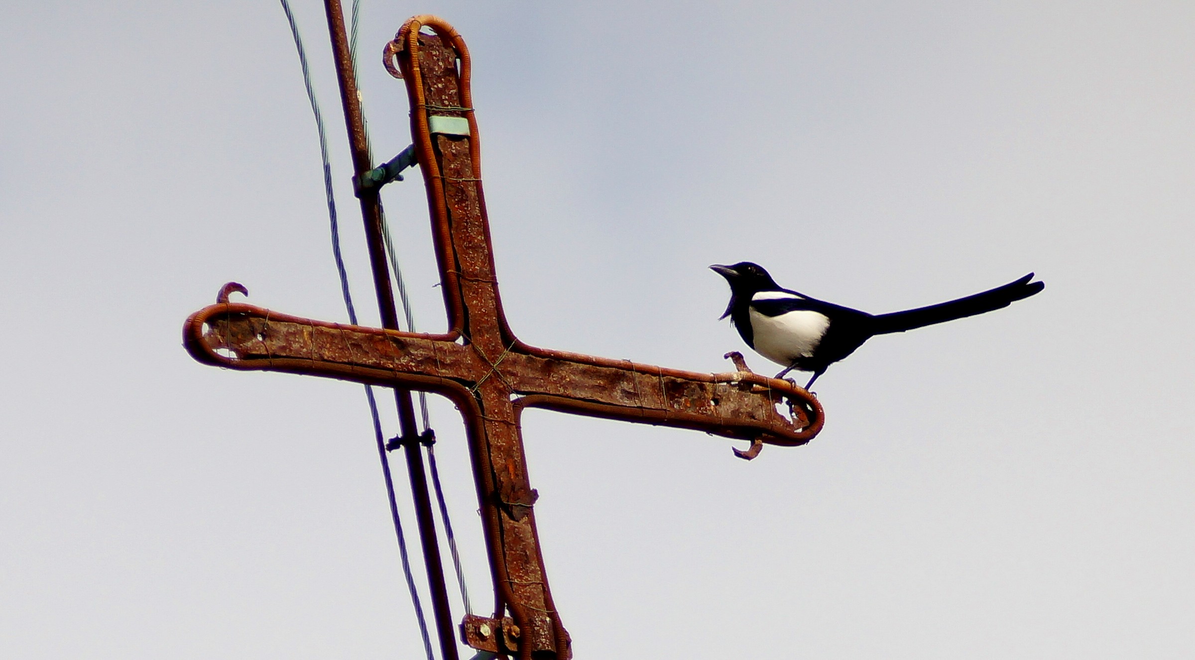 And they say that I steal!