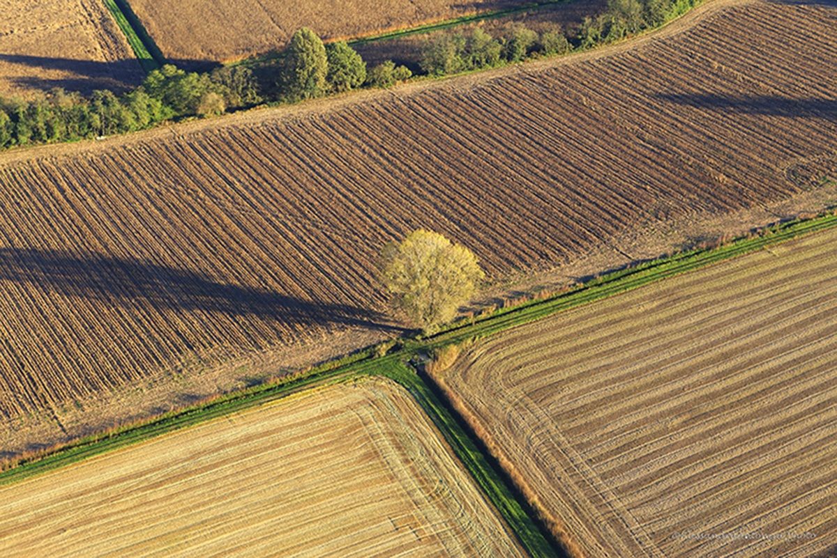 La terra vista dall'alto, Geometrie