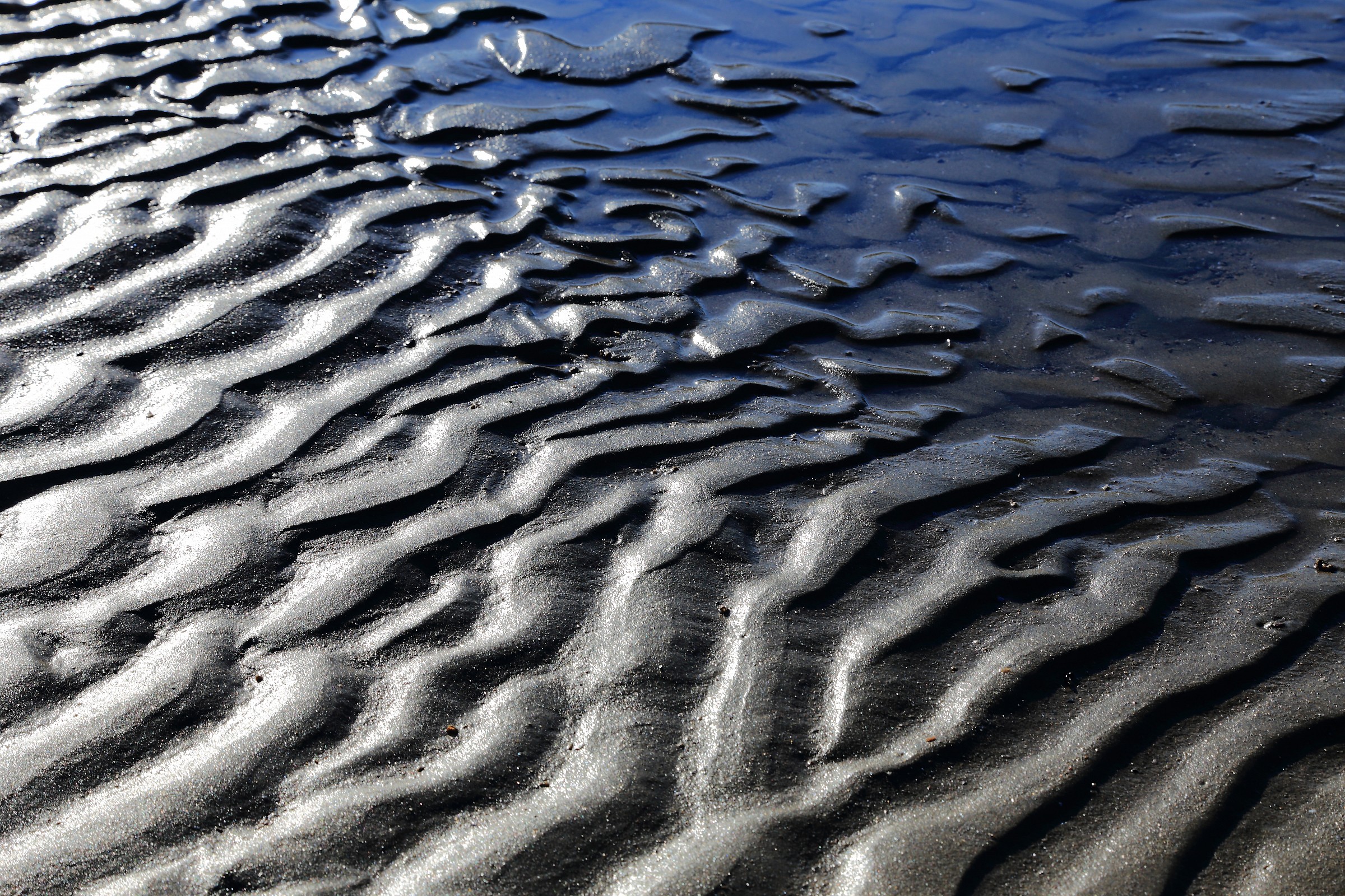 Beach after the storm