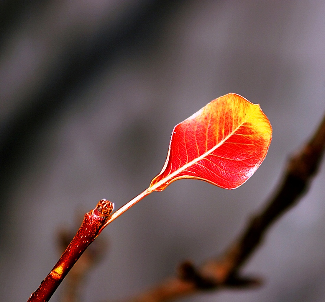 I do not want to fall