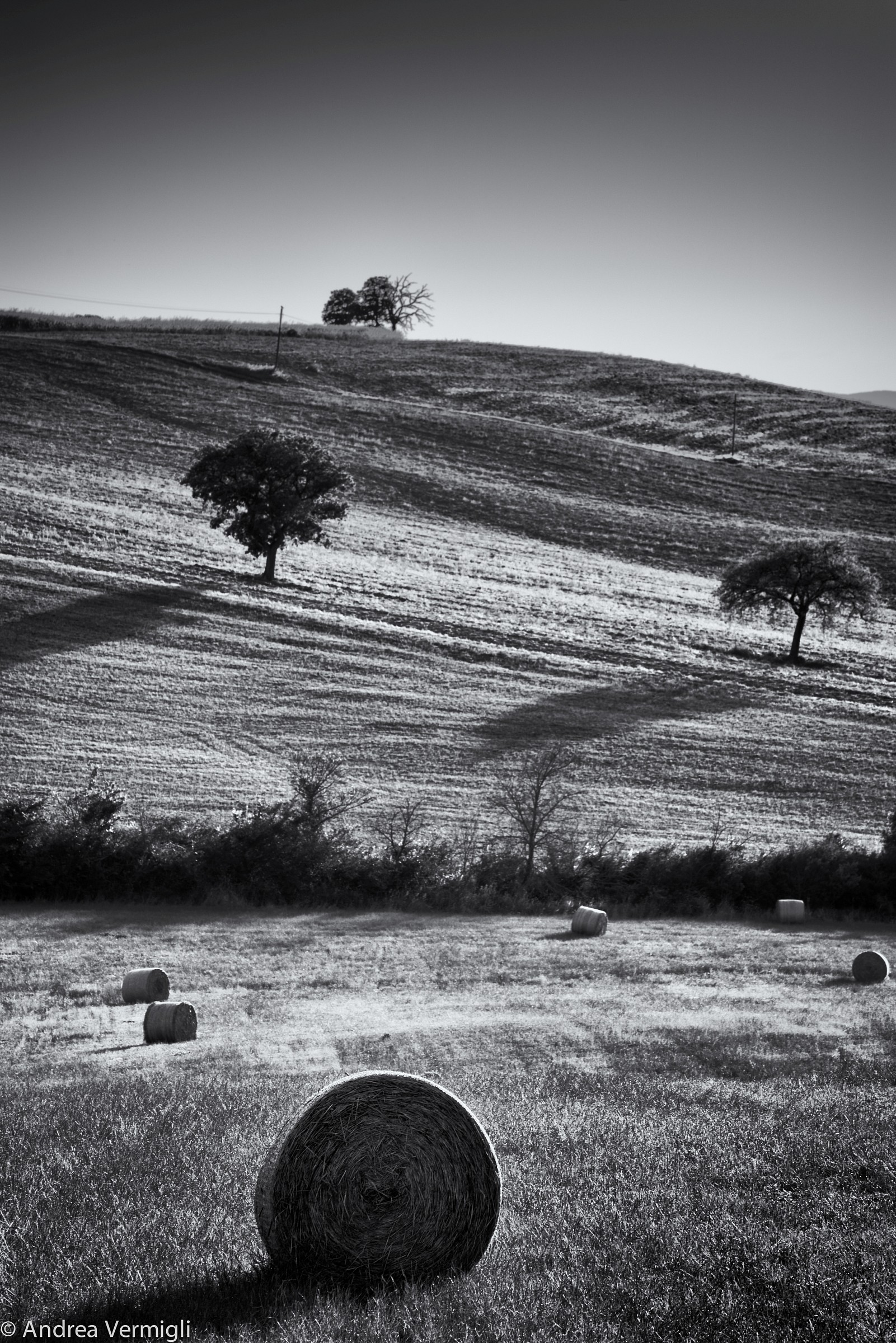 Round bales