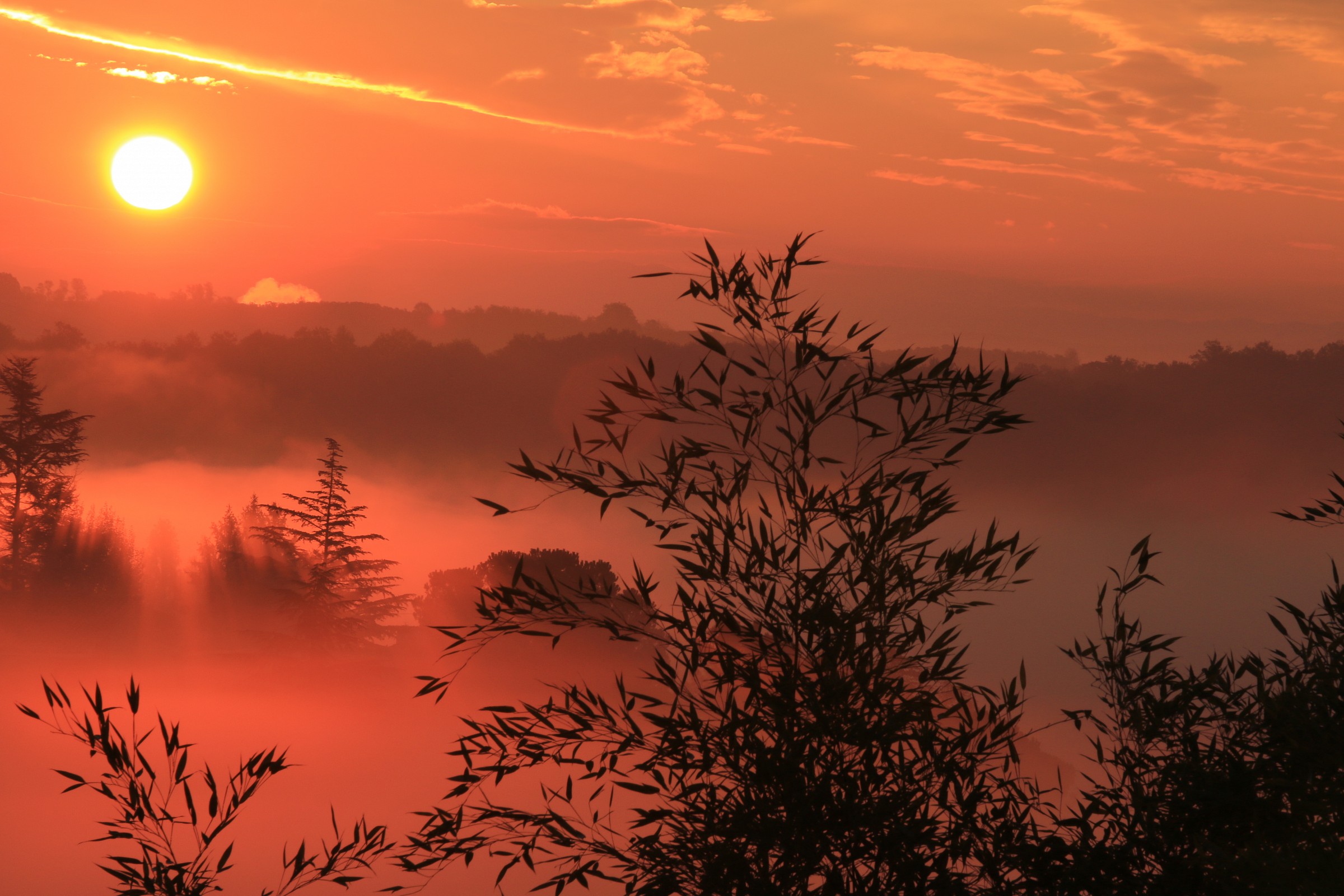 albeggia nel Chianti
