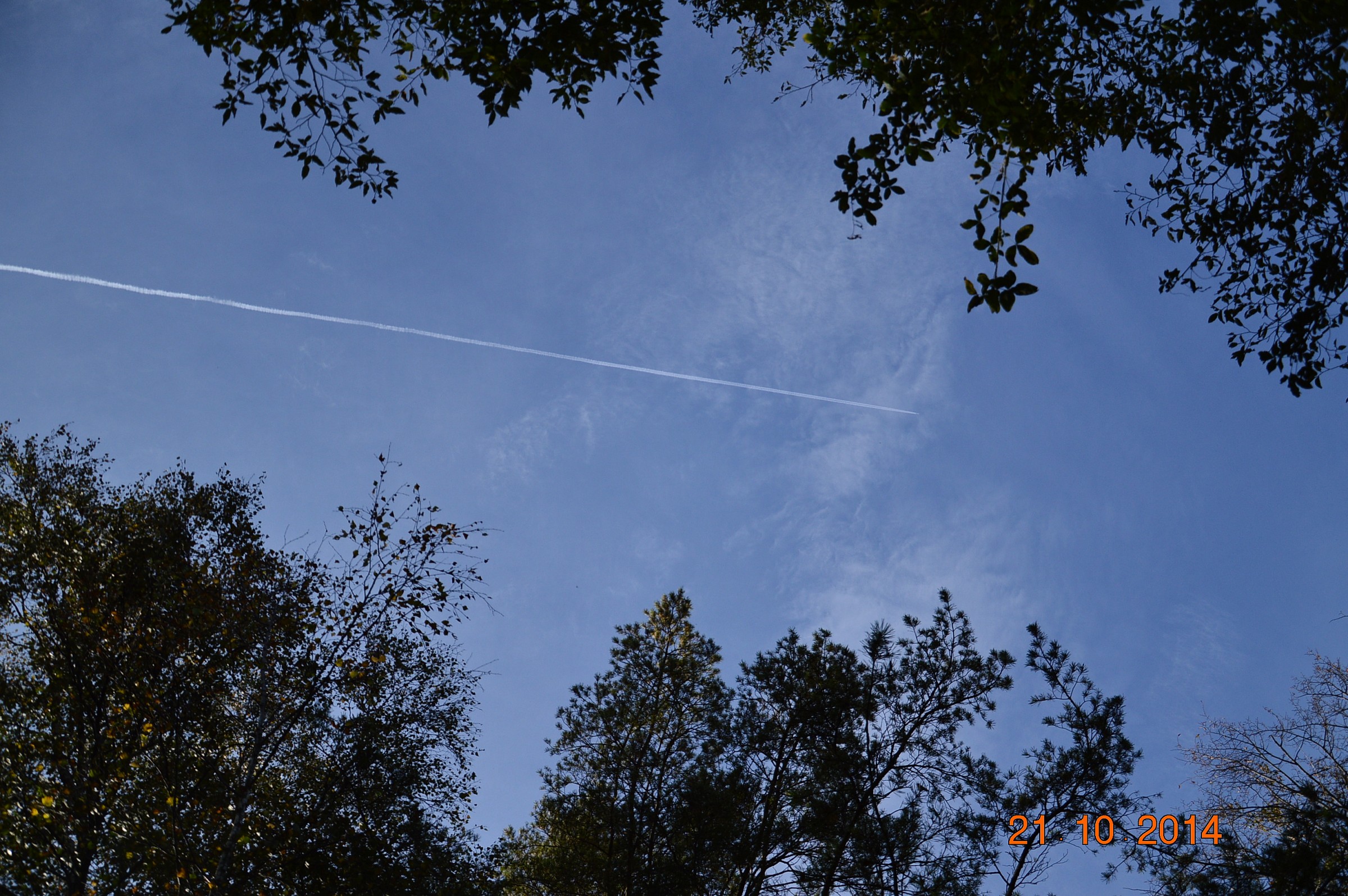 sguardo verso il cielo