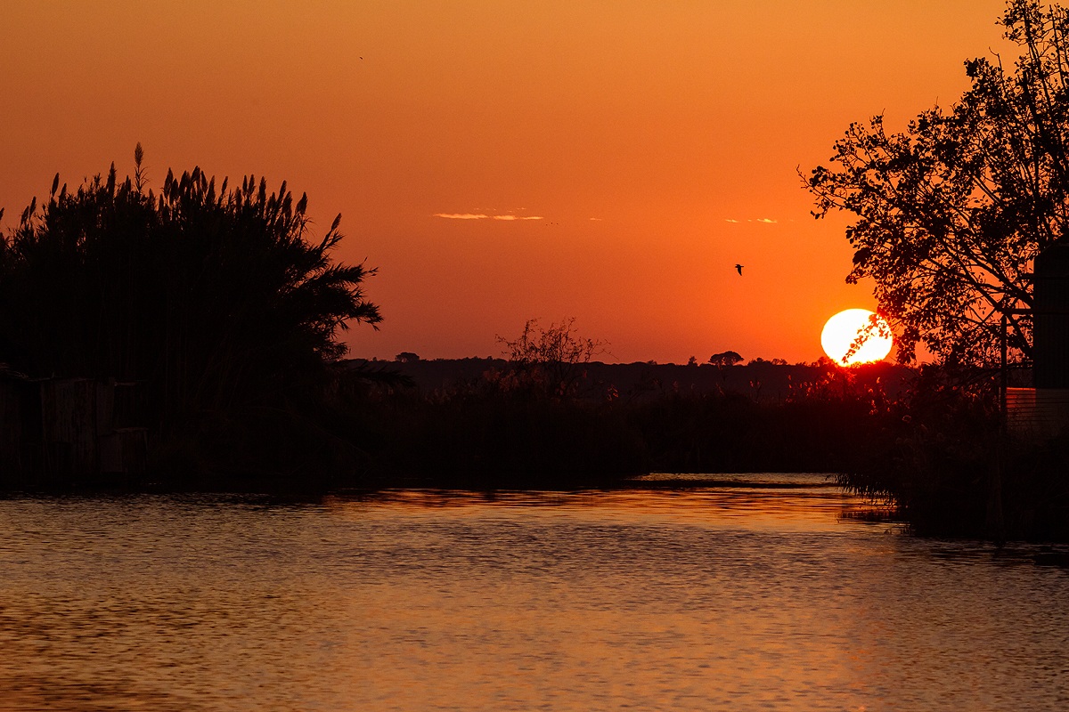 the quiet in the sunset