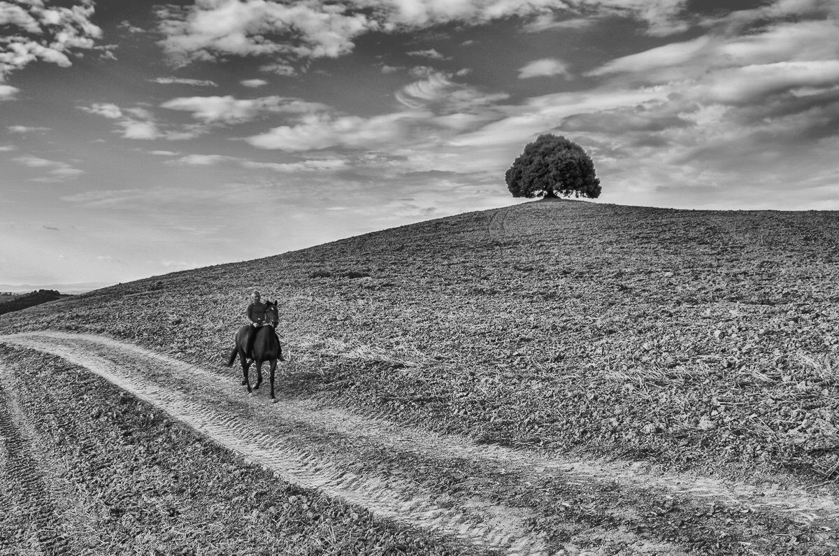 Non si doma la natura