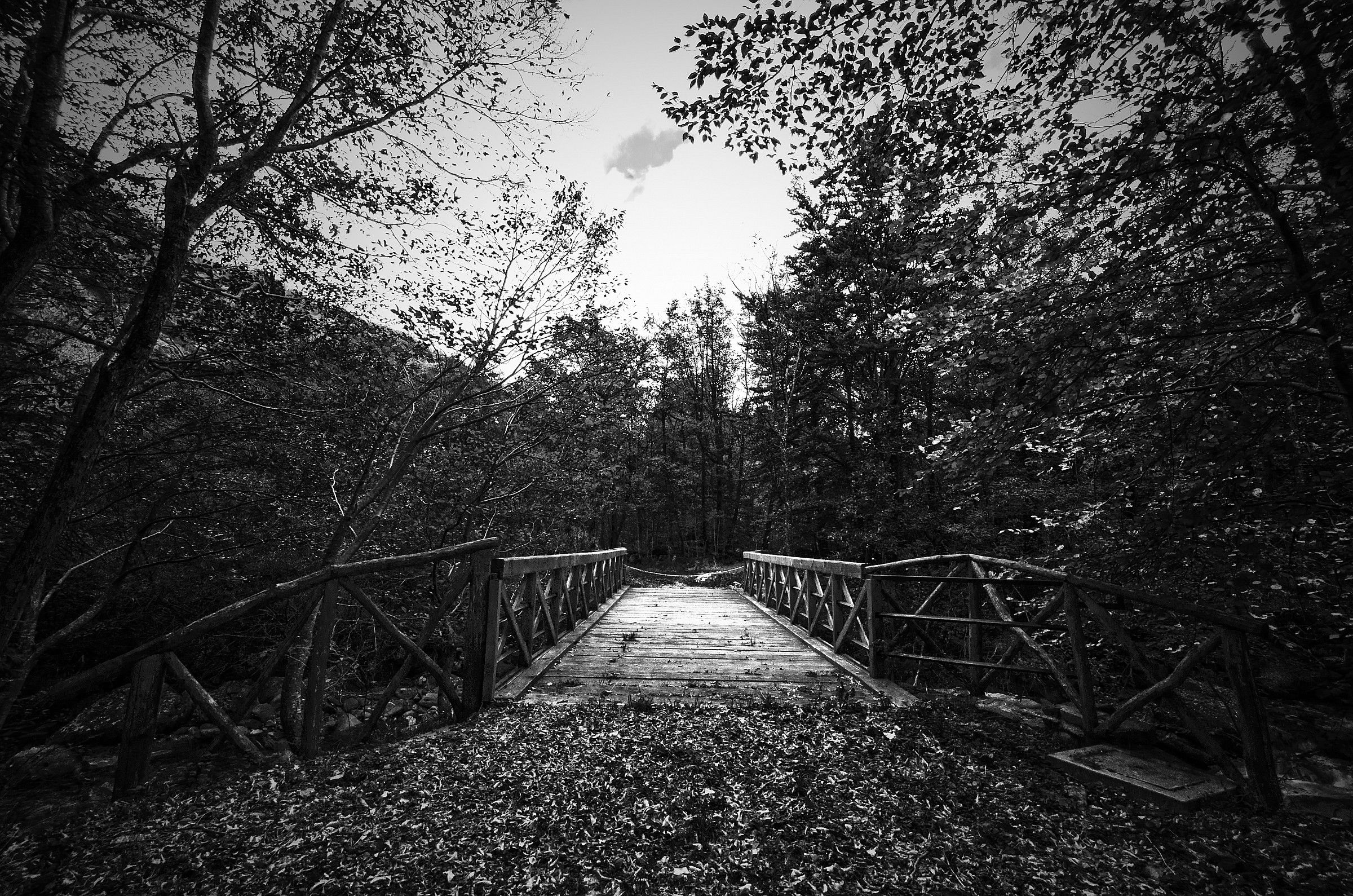 Bridge Over Troubled Water