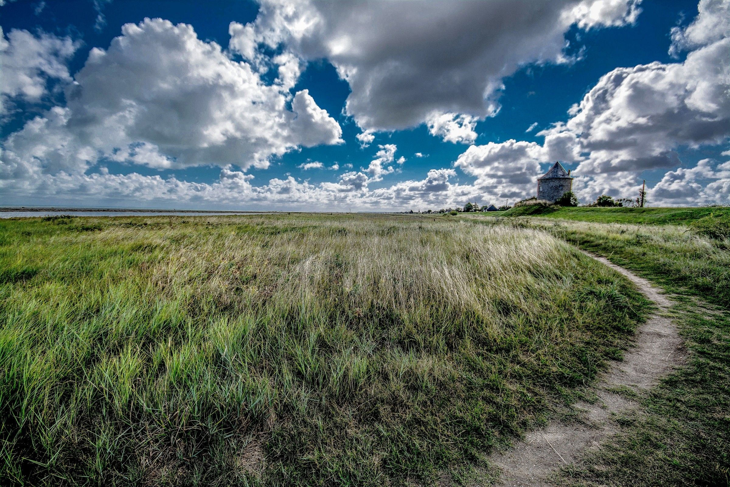 Tuesday afternoon and the wind Shakes the Barley.......