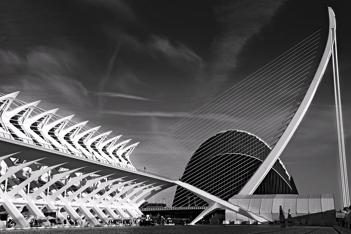 City of Arts and Sciences B & N