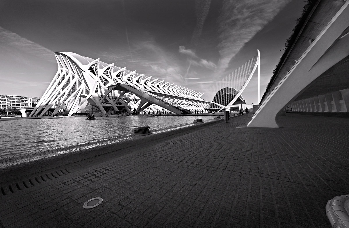 City of Arts and Sciences B & W 3