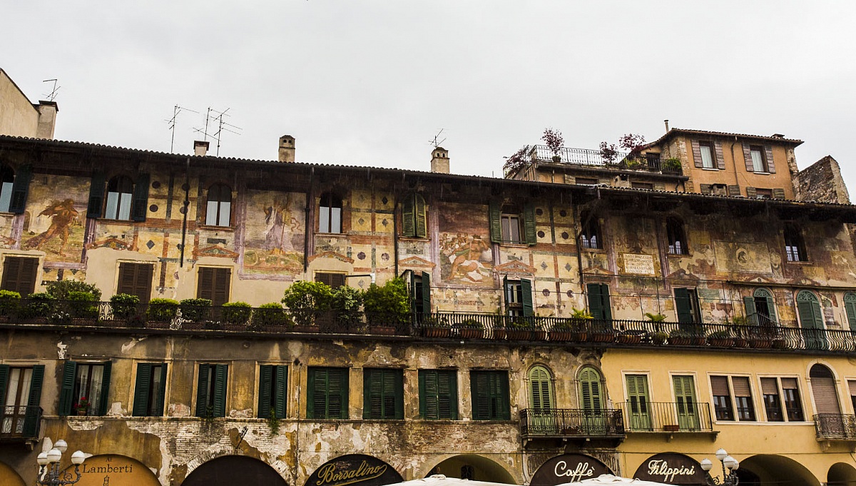 square herbs in the rain