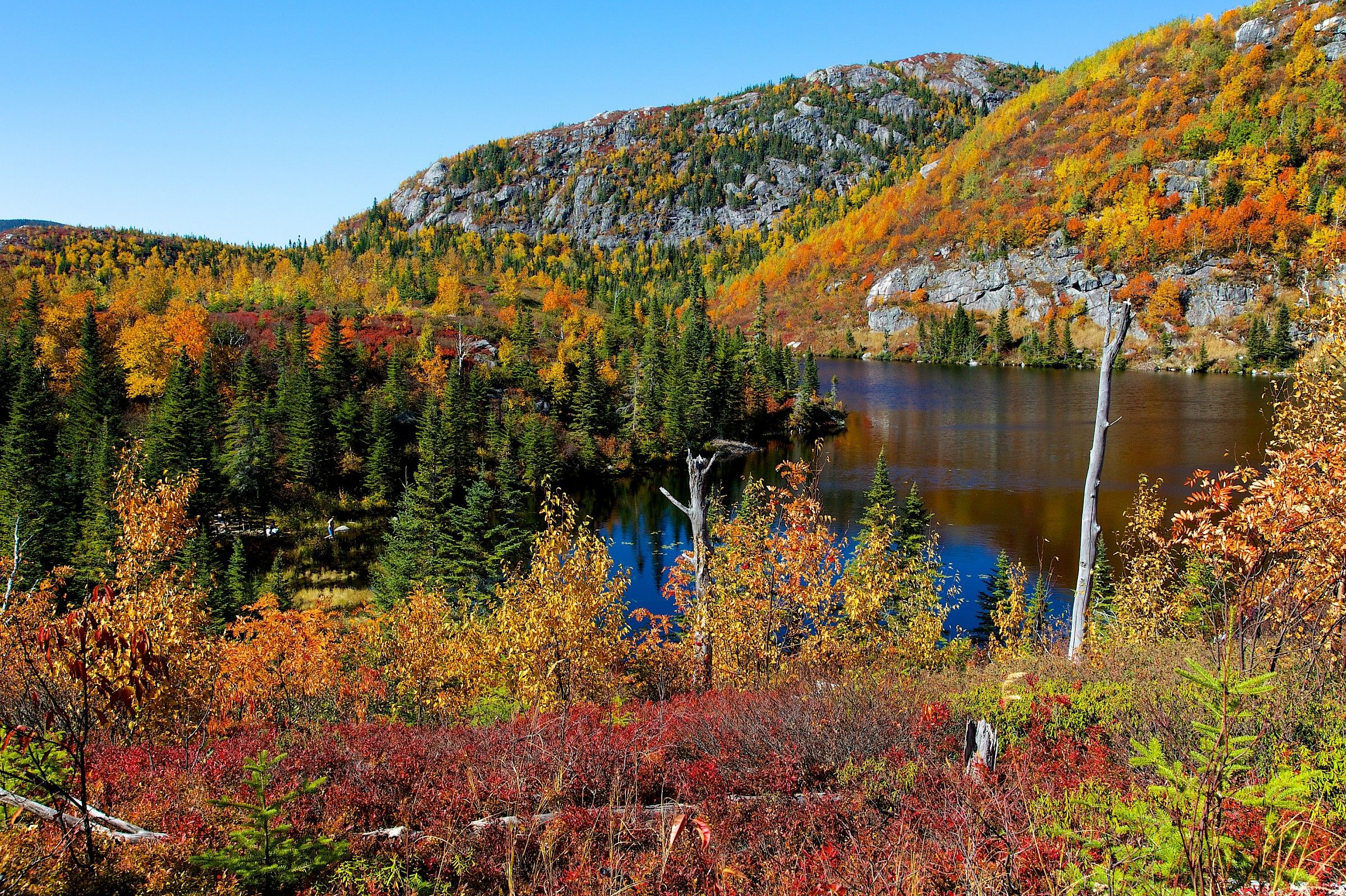 Colori d'autunno Canada