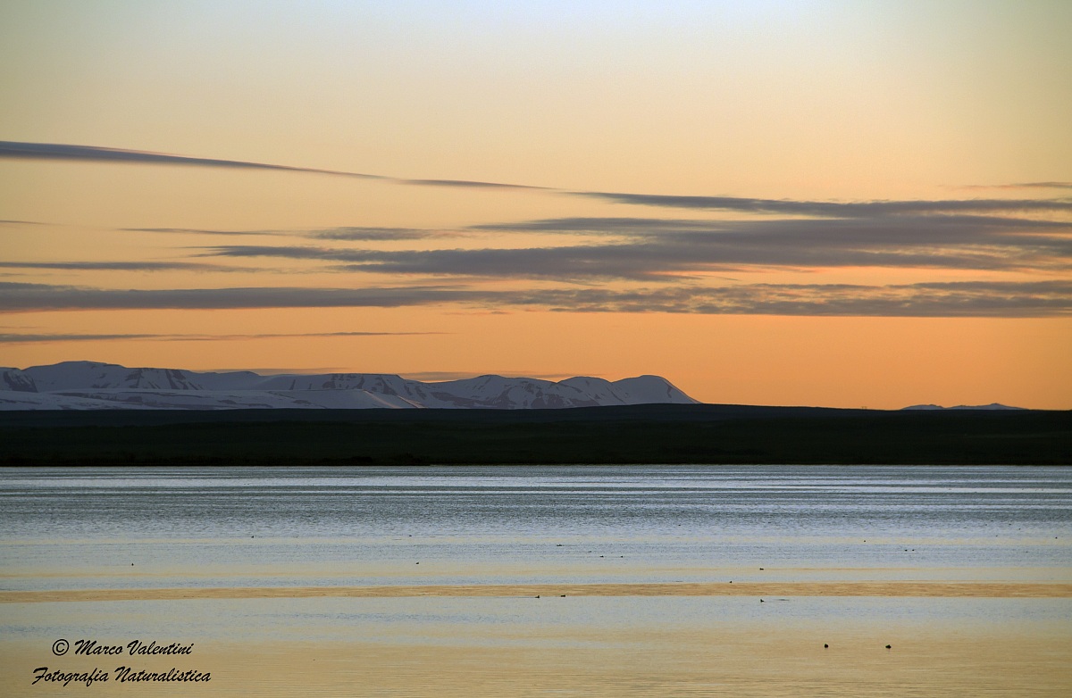 L'ora che volge al desio....