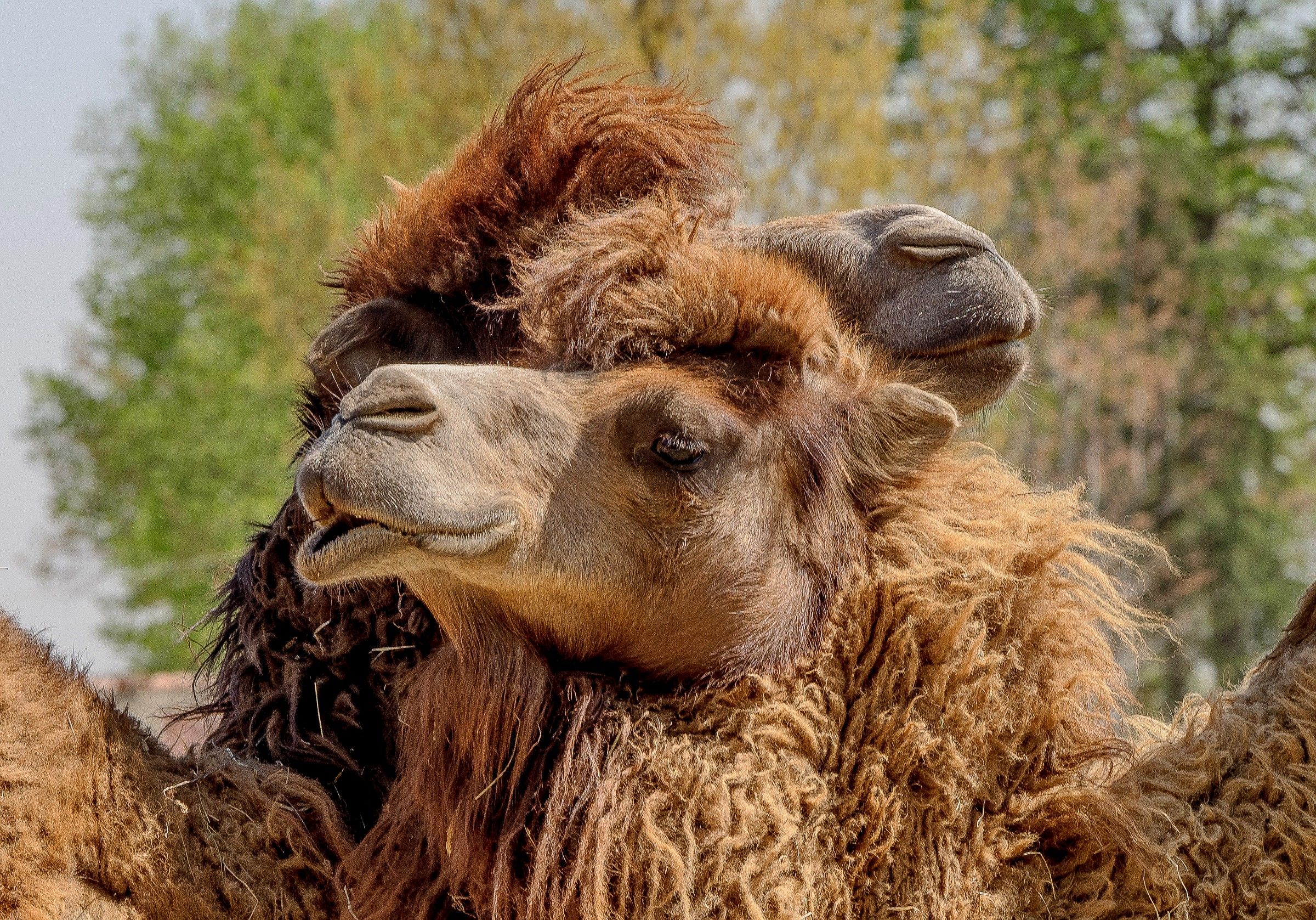 ef.....fusioni autunnali.................