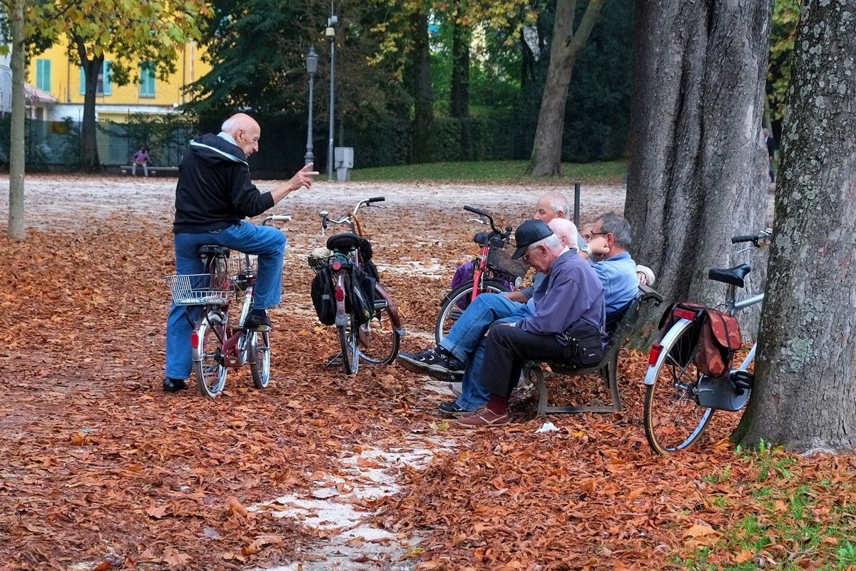The gazette of the park with the news
