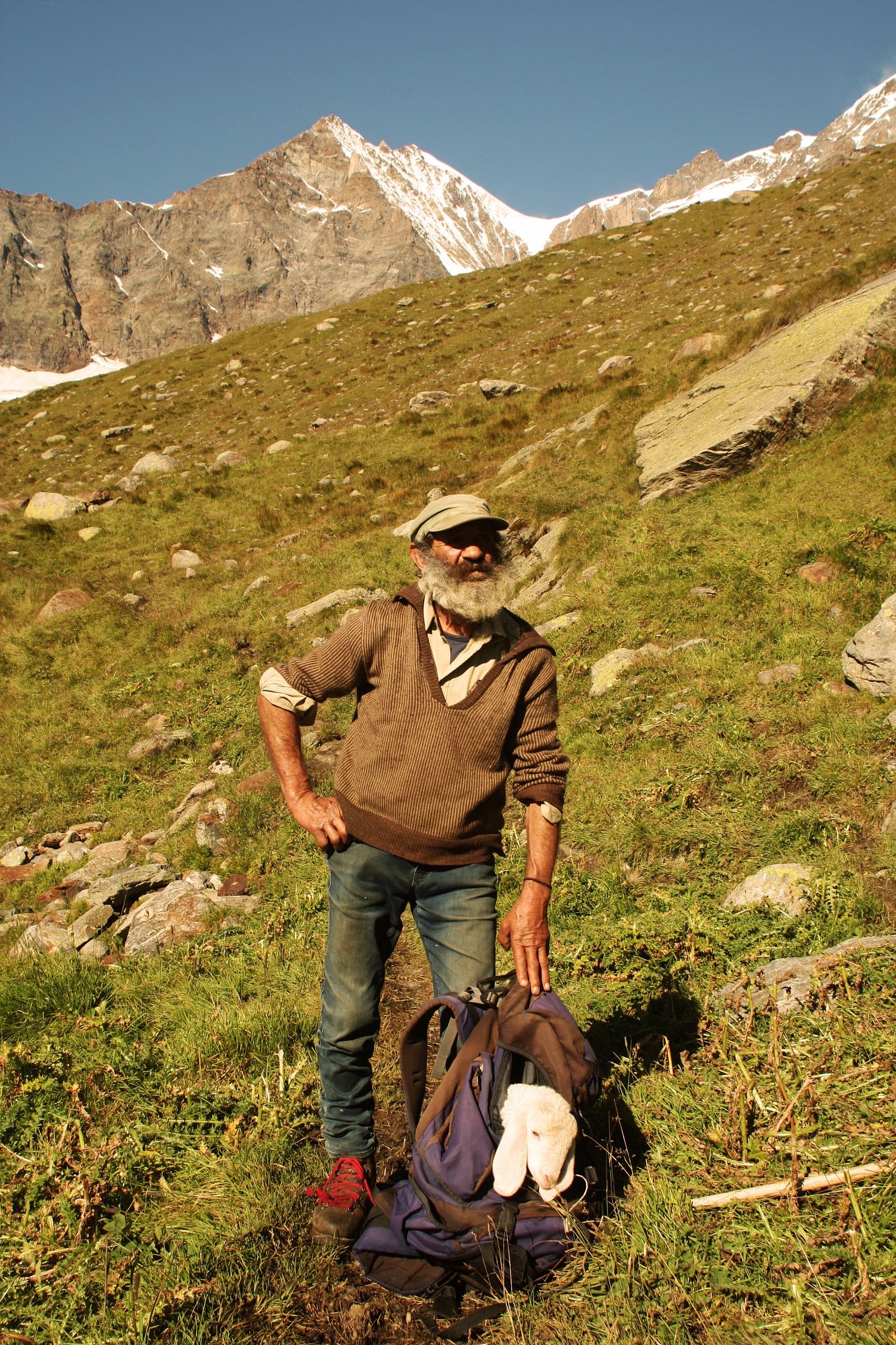 the shepherd and the lamb