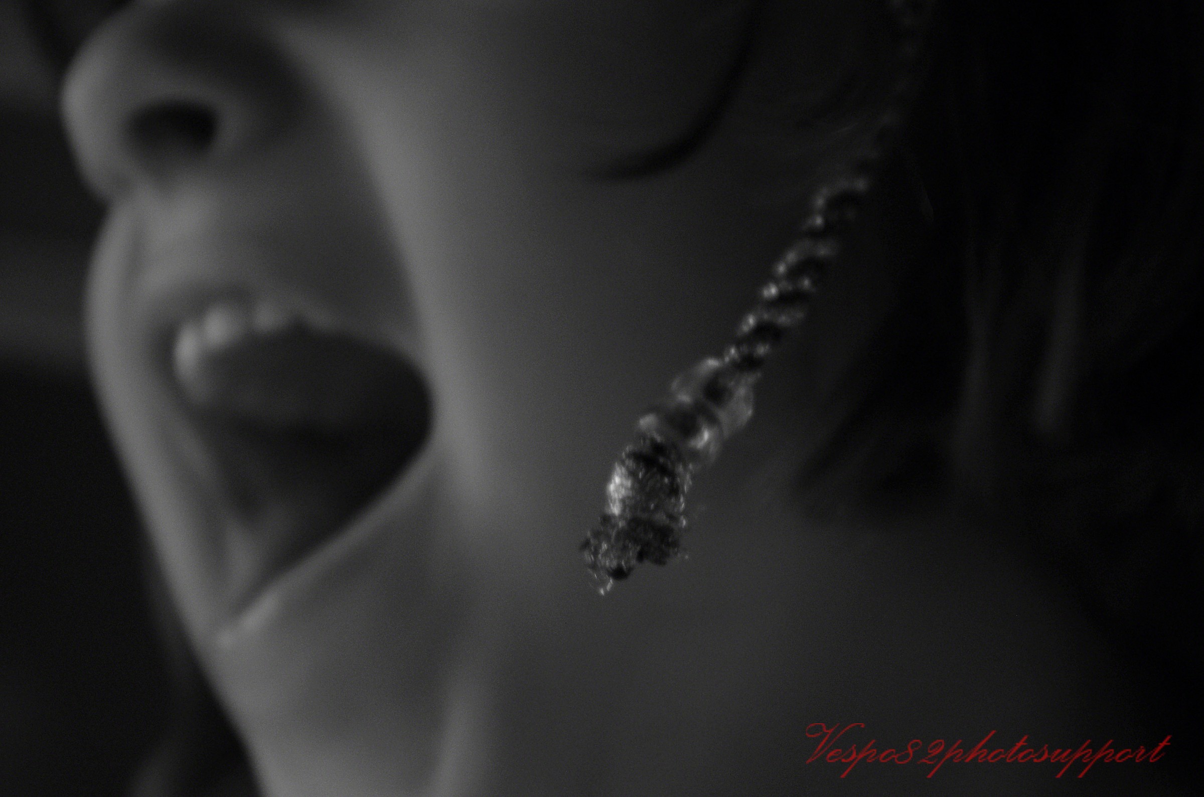 the anger of the Lambs