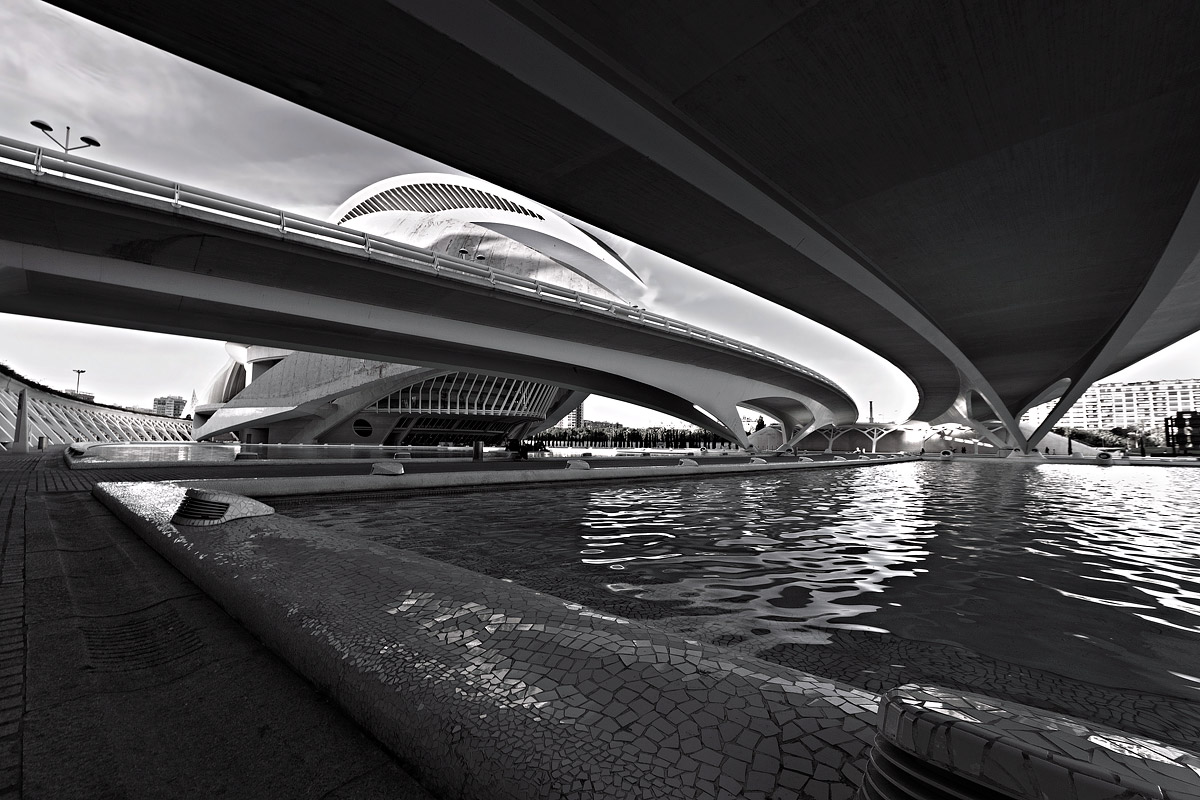 City of Arts and Sciences B & N