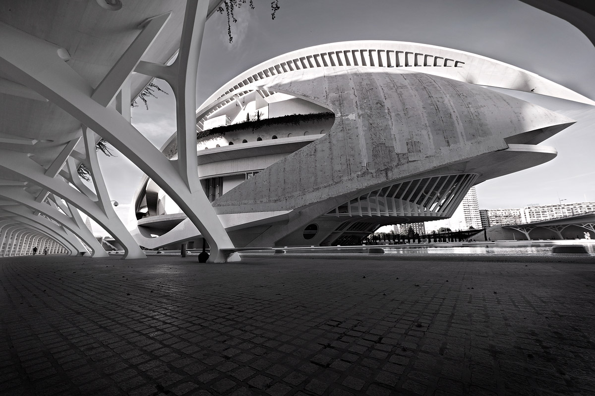 Palau de les Arts Reina Sofía 3