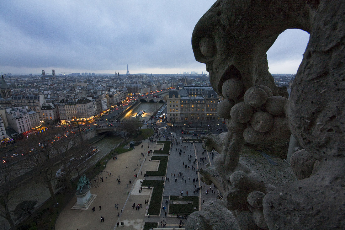 Gargoyle su Parigi.