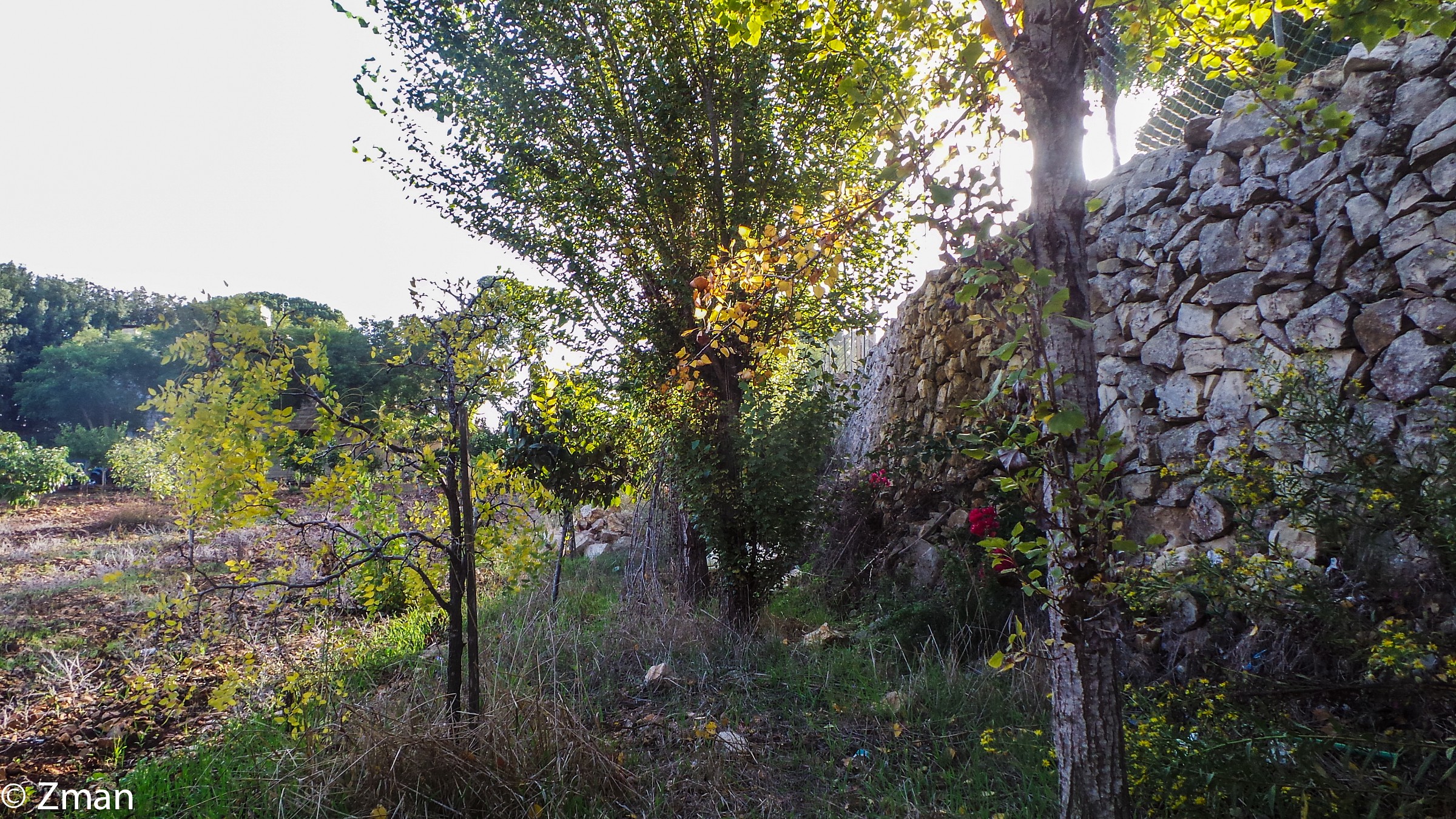 Bellezza in DiverCity