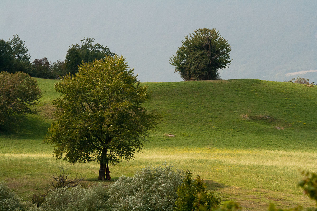 Estate a Solto Collina (Bg)